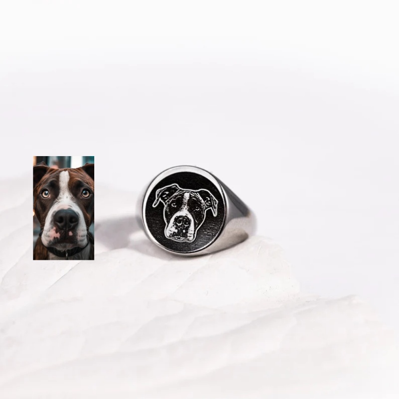 Benutzerdefinierter gravierter – Mens Signet Ring Bewertung und Preis